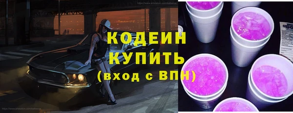 PSILOCYBIN Вяземский