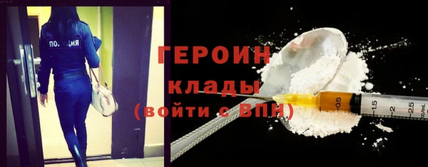 PSILOCYBIN Вяземский