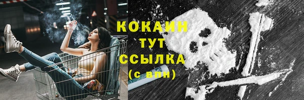 PSILOCYBIN Вяземский