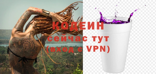 PSILOCYBIN Вяземский