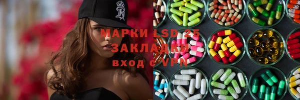 PSILOCYBIN Вяземский