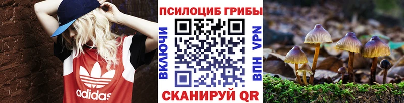 Купить Богданович Псилоцибиновые грибы Magic Shrooms